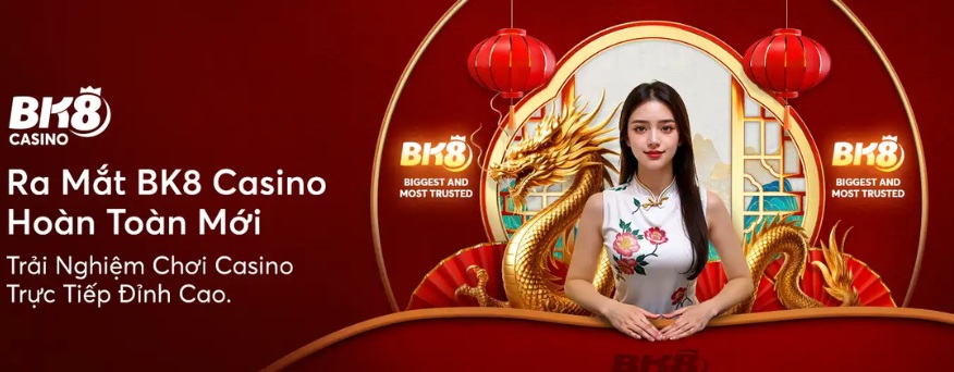 Bk8