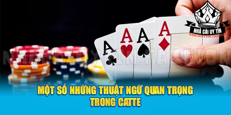 Những thuật ngữ quan trọng trong Catte cần nắm