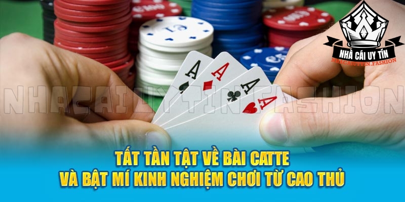 Tất tần tật về bài Catte - Nhà cái uy tín Fashion hướng dẫn